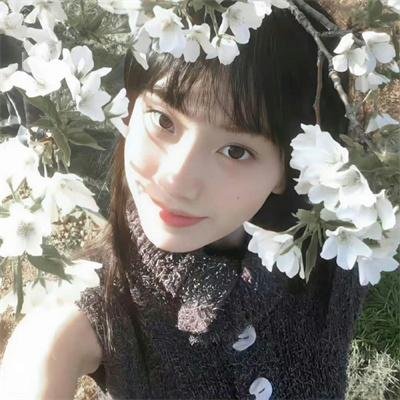 西城枭雄